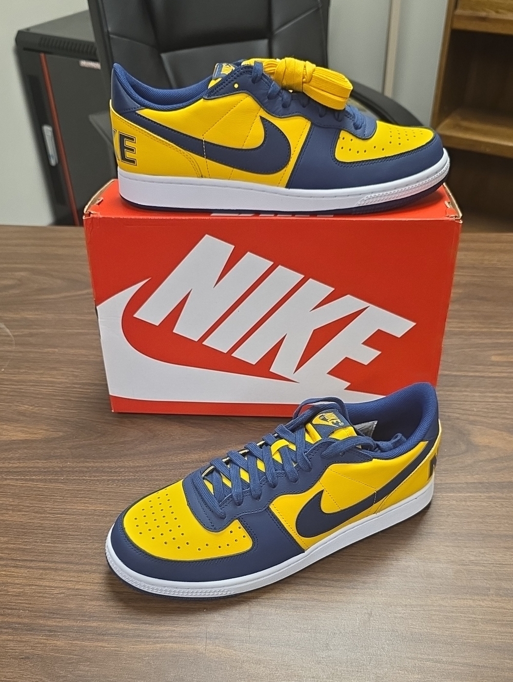 Nike Terminator Low OG (2022) Michigan FJ4206-700 Men's 10.5 New